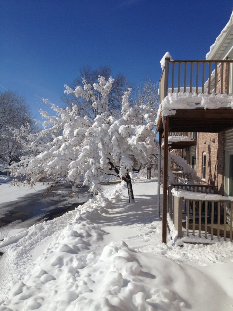 Snow-covered exterior of Cambridge Place Apartments in Iowa City with trees and balconies during winter